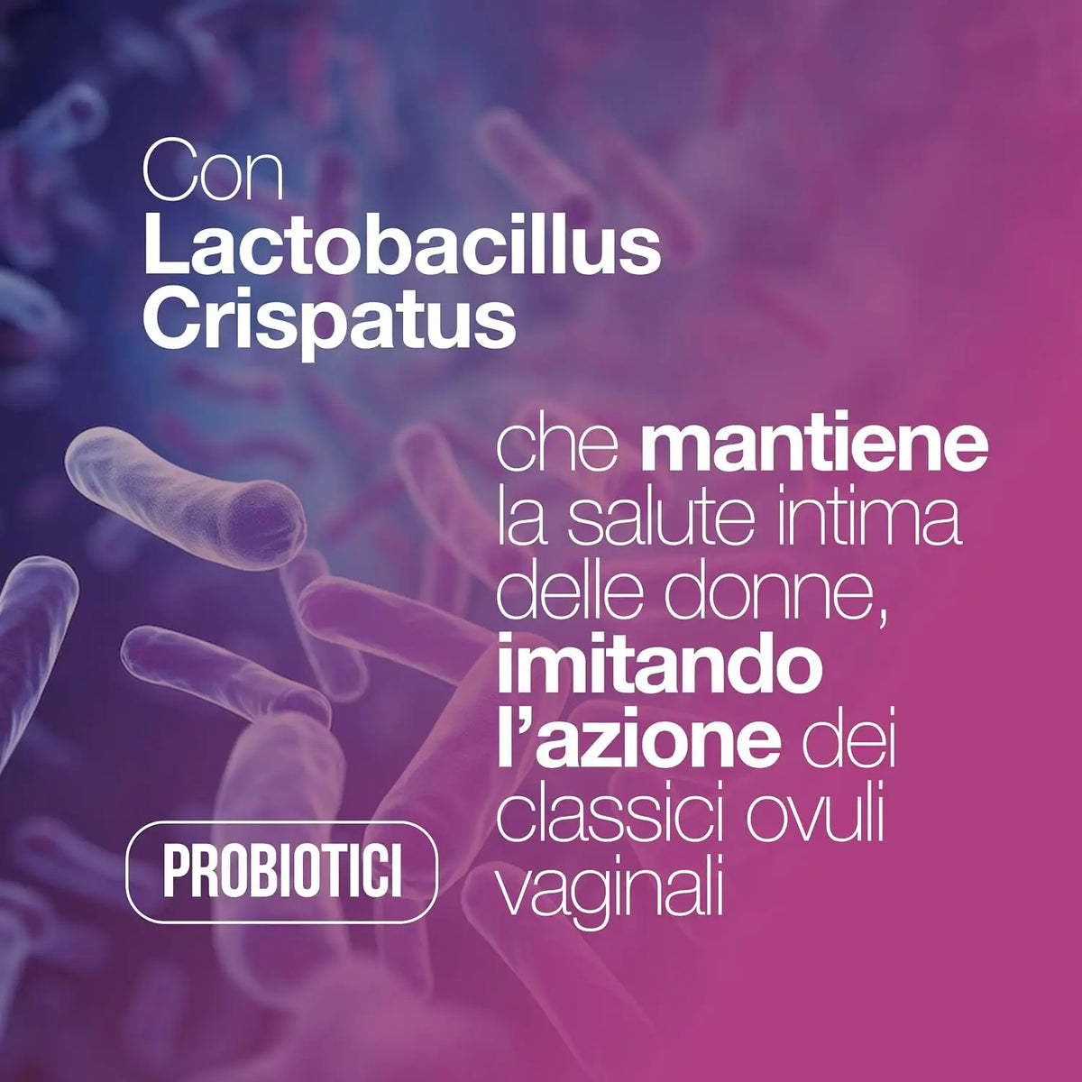 Women’s probiotics for vaginal bacterial flora, also in cases of candidiasis. High-Dose Vaginal Probiotics: Lactobacillus reuteri, Lactobacillus rhamnosus GG, Lactobacillus crispatus, and Saccharomyces boulardii. 30 Capsule