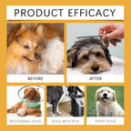 Dog Allergy Immune Dietary Supplement Natural Formula Relieve Allergic Reactions Daily Use Safe for Dogs Immune Support Liquid