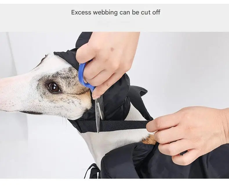 Halloween Dog Cat Costume Hooded Cloak Maleficent Velvet Cape Adjustable Cosplay Party Dress Apparel Funny Witch Holiday Pet