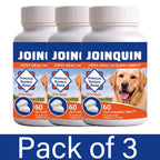 Joinquin Joint Supplement, Glucosamine & Chondroitin for Dogs, Supports Healthy Joints, Chewable Tablets for All Breeds & Sizes
