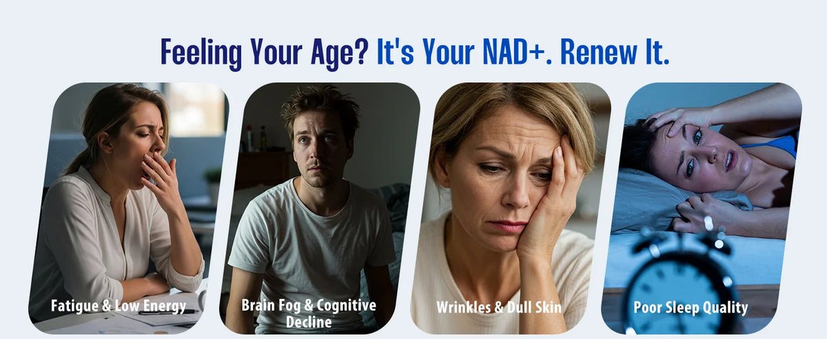 90 Capsules NAD+ Supplement, 1500mg - Liposomal NAD+ Supplement