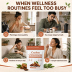 Ceylon Cinnamon Softgels 7200mg Equivalent,12:1 Concentrated Extract with MCT Oil,High Bioavailability, Daily Balance Support