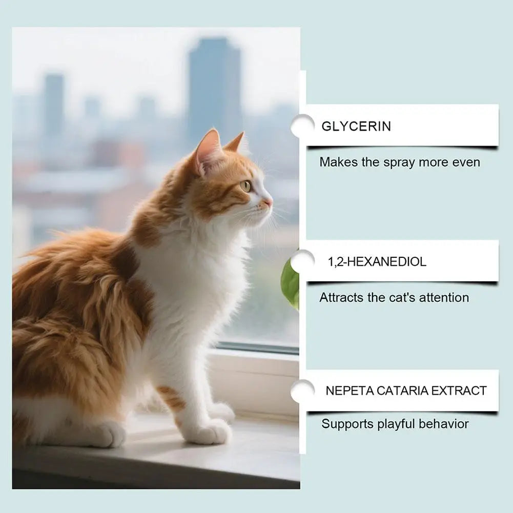 Long Lasting Cat Repellent Spray 120ml Non-Toxic Formula for Furniture Carpets Prevent Urine Marking Indoor Odor Neutralizer