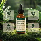 Lymphatic Drainage Drops 60ml Natural Herbal Circulatory Wellness