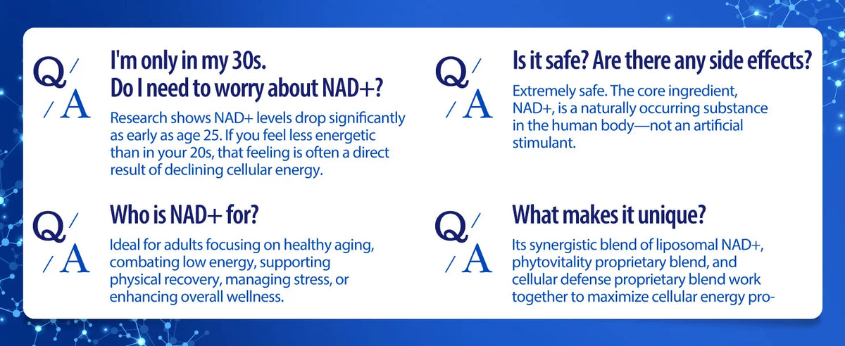 90 Capsules NAD+ Supplement, 1500mg - Liposomal NAD+ Supplement
