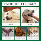 Dog Multivitamin Supplement - Gentle Formula for Relieving Skin Discomfort and Daily Nutritional Support with Essential Vitamins