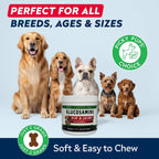Advanced Glucosamine for Dogs, Hip Joint Supplement Chews Helps Joint Pain Relief - Chewable Treats for Small, Medium, Large Dog