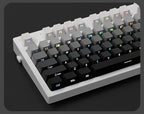 2026 Original Daylight Keycaps PTB Translucent, Side-engraved Oem 135 Keys, Customized To Fit 60/84/98/108 Mechanical Keyboards.