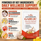 Googeer Aged Odorless Garlic Softgels with CoQ10 Ubiquinol Vitamin K2 (MK-7) for Circulation & Cholesterol Support 60 Softgels