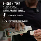 Cutler Nutrition Liquid Carnitine 3000 for Energy and Recovery Support Dietary Fitness Supplement Edible Healthcare Vitamin