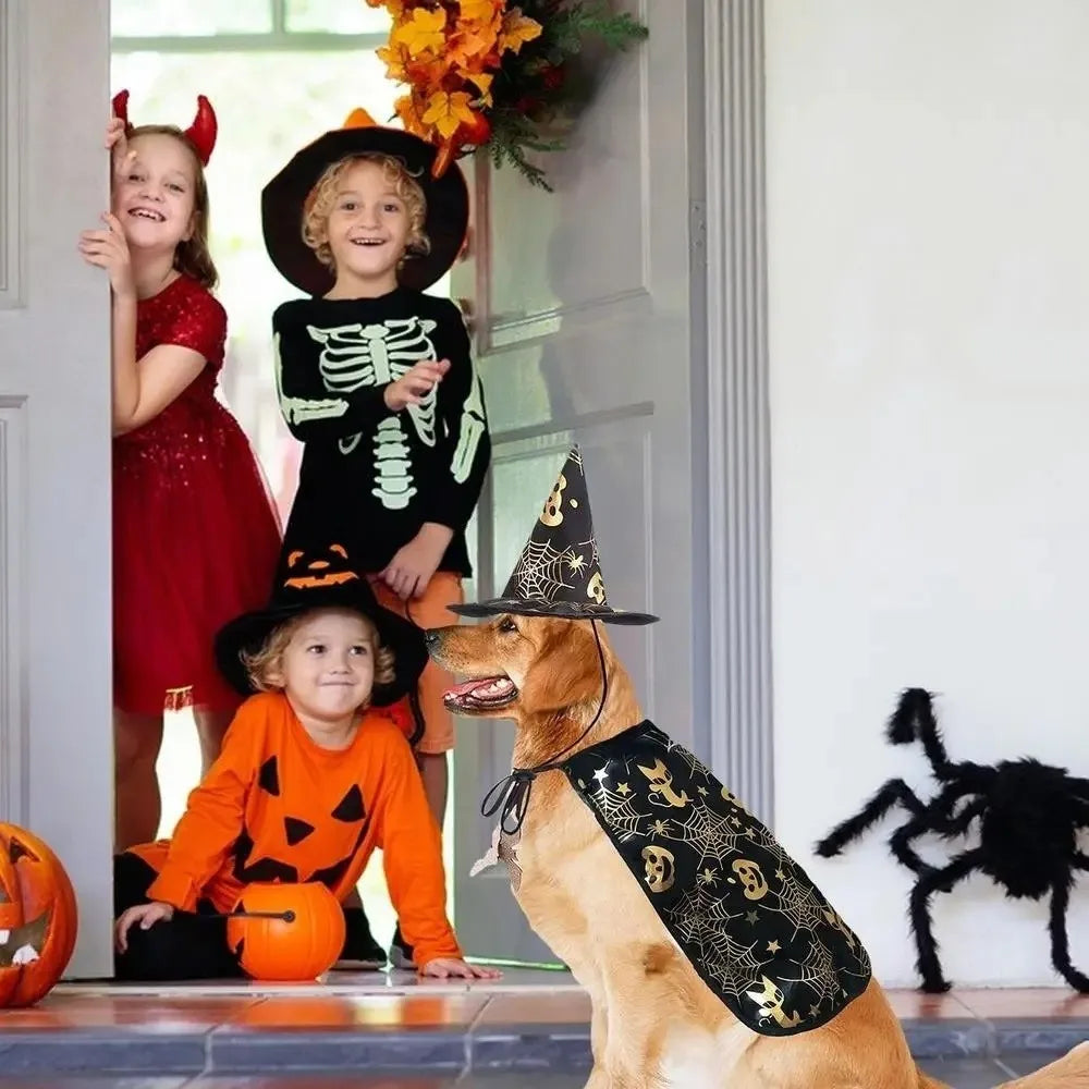 Funny Pumpkin Pet Halloween Costumes Cape Adjustable Soft Cats Cosplay Clothes Bat Black Halloween Pet Apparel Party