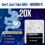 90 Capsules NAD+ Supplement, 1500mg - Liposomal NAD+ Supplement