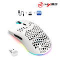  T66White
