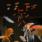 PAINTPET Bio-Mimetic Bloodworm Fish Food, Slow Sinking Protein Pellets for Tropical Fish, Universal Diet for Guppy, Tetra, Betta
