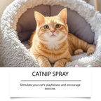 Long Lasting Cat Repellent Spray 120ml Non-Toxic Formula for Furniture Carpets Prevent Urine Marking Indoor Odor Neutralizer