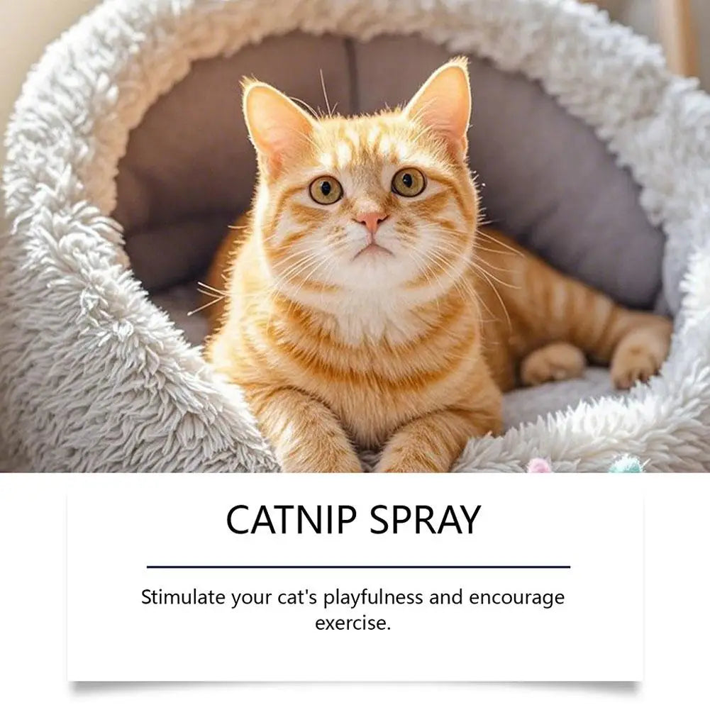 Long Lasting Cat Repellent Spray 120ml Non-Toxic Formula for Furniture Carpets Prevent Urine Marking Indoor Odor Neutralizer