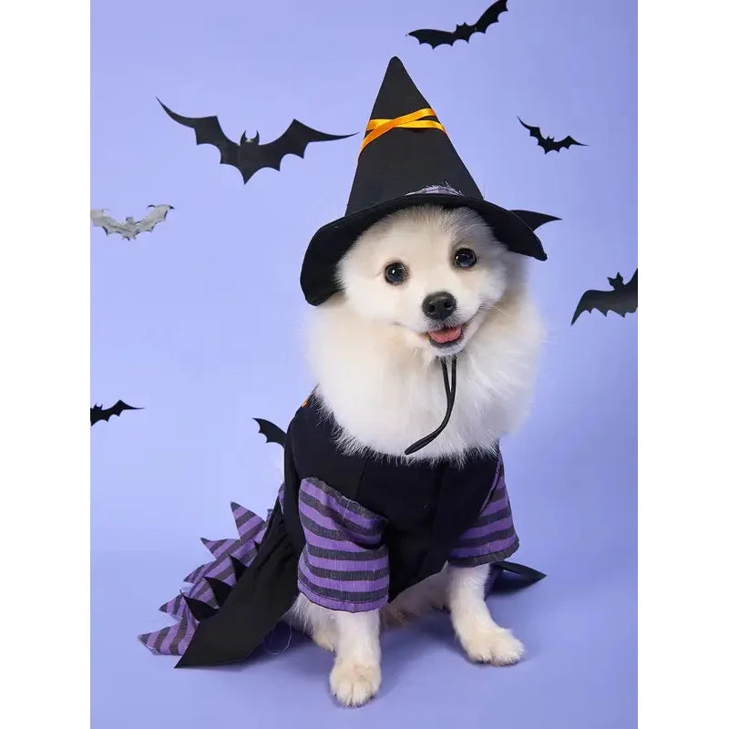 Halloween Pet Witch Costume with Hat Dog Cat Witch Dress Puppy Kitten Cosplay Outfit Holiday Party Fancy Dress