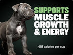 BULLY MAX HIGH PROTEIN & GROWTH WHOLESOME FORMULA FOR PUPPIES, Promotes Strong Muscle Development And Overall Health 120g