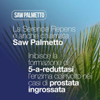 SERENOA REPENS, Prostate Supplement 60 Tablets with: Saw Palmetto, Boswellia, Pumpkin Seed, and Lycopene. Serenoa Repens for the Prostate 640mg with: Nettle, Pomegranate, and Willow Herb. Powerful Prostate Formula Supplement