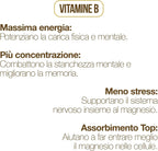 Magnesium Bisglycinate 120 Capsules with Vitamins B1, B5, and B6 for Fatigue | Supports the Nervous System, Muscles, and Energy Metabolism. 4 Months. Vegan, Gluten-Free and Lactose-Free, Made in Italy