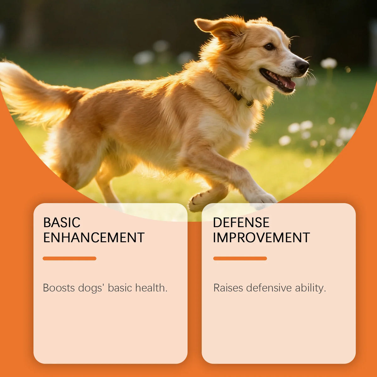 Kriath Dog Supplement Drops Promote Nutrient Absorption Improve Immune Defense Ability Gentle Formula Dog Oral Liquid Supplement