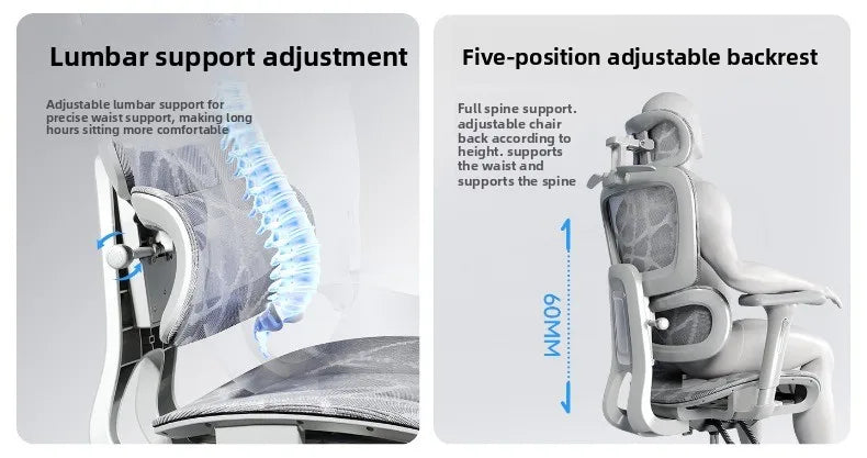 Stable Durable Ergonomic chair, computer chair, office chair, reclining dual-purpose office rotating chair, e-sports chair