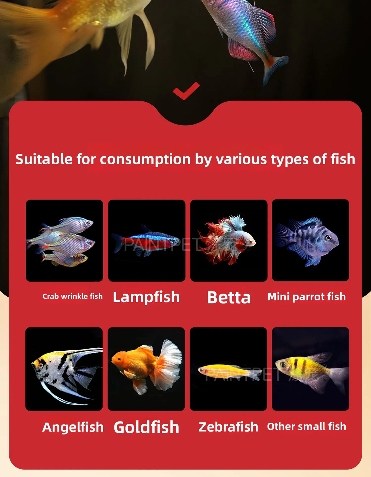 PAINTPET Bio-Mimetic Bloodworm Fish Food, Slow Sinking Protein Pellets for Tropical Fish, Universal Diet for Guppy, Tetra, Betta