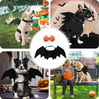 Halloween Pet Bat Wings Costume Cat Dog Clothes with 2 Pumpkin Bells Cosplay Outfit for Small Cats Dogs Party Dress Up Fun
