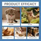 200g Taurine Powder for Cats – Essential Amino Acid Supplement for Heart Health & Function, Supports Cardiac Muscle Health Care