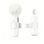 Type-C Port Professional Wireless Lavalier Microphone for Smartphones, Computers, Tablets, Plug and Play
