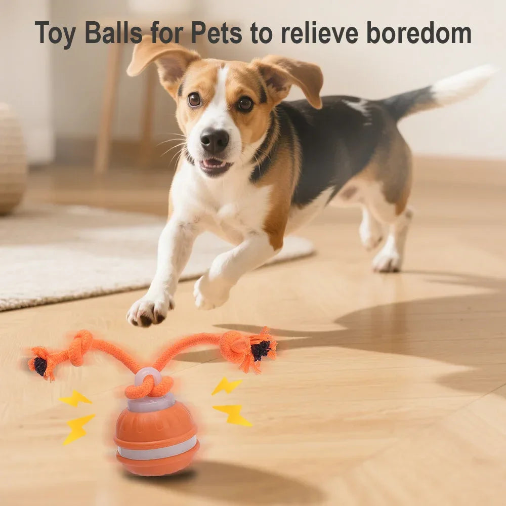 Smart Auto-Rolling Pet Ball Toy – Cat & Dog