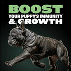BULLY MAX HIGH PROTEIN & GROWTH WHOLESOME FORMULA FOR PUPPIES, Promotes Strong Muscle Development And Overall Health 120g