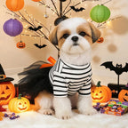 Halloween Costumes Dresses For Dog Elegant Pet Vest With Tutu Skirt Autumn Winter Girl Female Pet Toy Poodle Small Breeds Cat