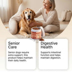 100g Dog Probiotics Immune Support Agent Elderly Dog Maintenance Joint Intestinal Skin Care Bacon Flavored Pet Health Supplement