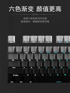 2026 Original Daylight Keycaps PTB Translucent, Side-engraved Oem 135 Keys, Customized To Fit 60/84/98/108 Mechanical Keyboards.