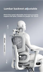 Stable Durable Ergonomic chair, computer chair, office chair, reclining dual-purpose office rotating chair, e-sports chair
