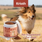 100g Dog Probiotics Immune Support Agent Elderly Dog Maintenance Joint Intestinal Skin Care Bacon Flavored Pet Health Supplement