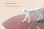 Cat Litter Mat Heavy Duty Waterproof 2 Layer Non Slip Washable Pet Floor Protector Litter Box Sand Stopper Pet Product