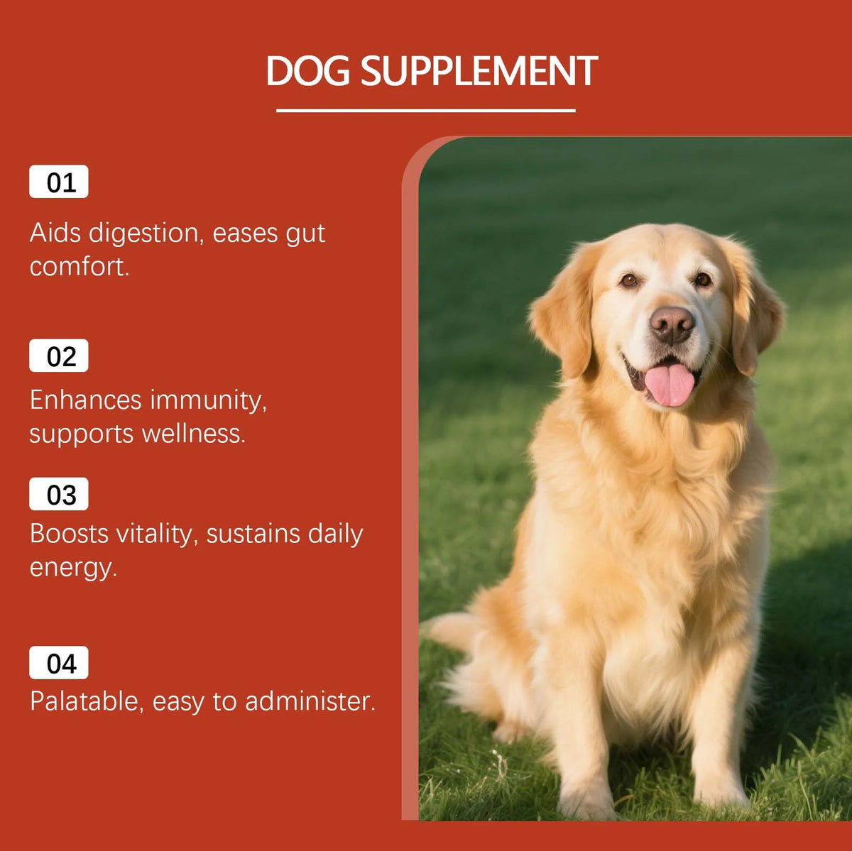 Dog Probiotic Soft Granules Turkey Tail Mushroom Vitamin Supplement Gentle Nourishment Support Gut Health Daily Pet Health Care