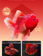 PAINTPET Bio-Mimetic Bloodworm Fish Food, Slow Sinking Protein Pellets for Tropical Fish, Universal Diet for Guppy, Tetra, Betta
