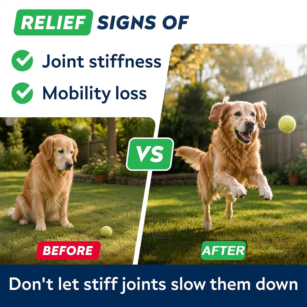 Advanced Glucosamine for Dogs, Hip Joint Supplement Chews Helps Joint Pain Relief - Chewable Treats for Small, Medium, Large Dog