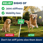 Advanced Glucosamine for Dogs, Hip Joint Supplement Chews Helps Joint Pain Relief - Chewable Treats for Small, Medium, Large Dog