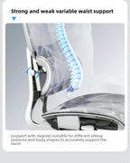 Stable Durable Ergonomic chair, computer chair, office chair, reclining dual-purpose office rotating chair, e-sports chair