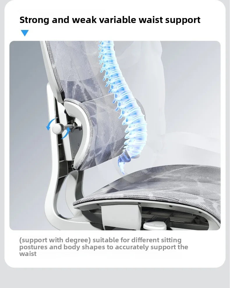 Stable Durable Ergonomic chair, computer chair, office chair, reclining dual-purpose office rotating chair, e-sports chair