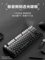 2026 Original Daylight Keycaps PTB Translucent, Side-engraved Oem 135 Keys, Customized To Fit 60/84/98/108 Mechanical Keyboards.