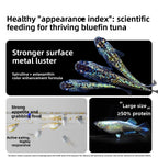 SANKii Floating Micro Pellets for Medaka, High Protein Food to Enhance Color for Viewing from Above - For Fry & Adult
