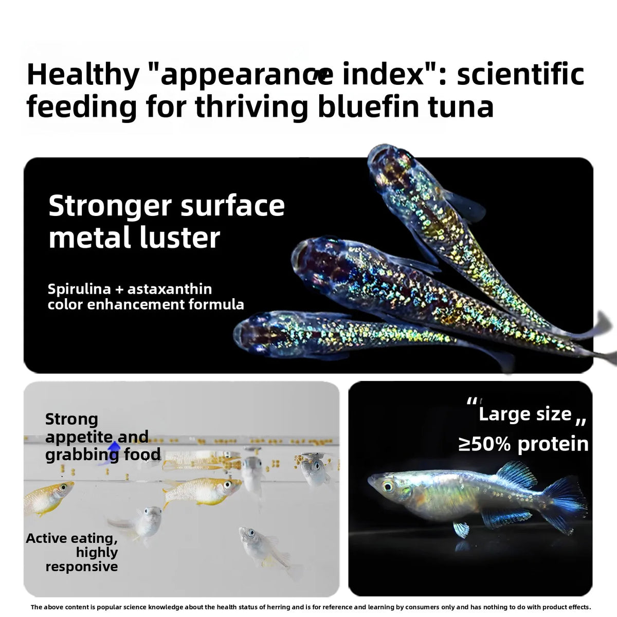 SANKii Floating Micro Pellets for Medaka, High Protein Food to Enhance Color for Viewing from Above - For Fry & Adult