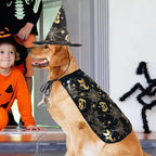 Funny Pumpkin Pet Halloween Costumes Cape Adjustable Soft Cats Cosplay Clothes Bat Black Halloween Pet Apparel Party