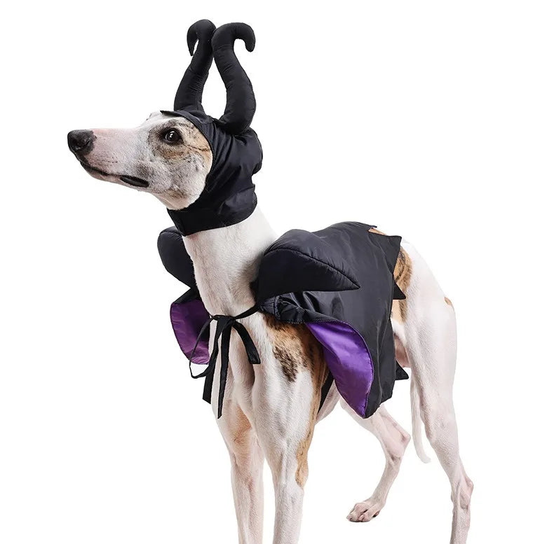 Halloween Dog Cat Costume Hooded Cloak Maleficent Velvet Cape Adjustable Cosplay Party Dress Apparel Funny Witch Holiday Pet