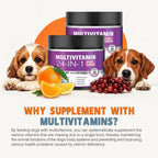 24-in-1 Dog Vitamins and Supplements Multivitamin Chewable for Dog Skin Coat Heart Joint Gut Liver Brain Eyes Immune Support